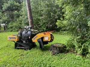 Image: Rise N Grind Stump Removal | Stump Removal