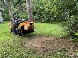 Image: Rise N Grind Stump Removal | Stump Removal